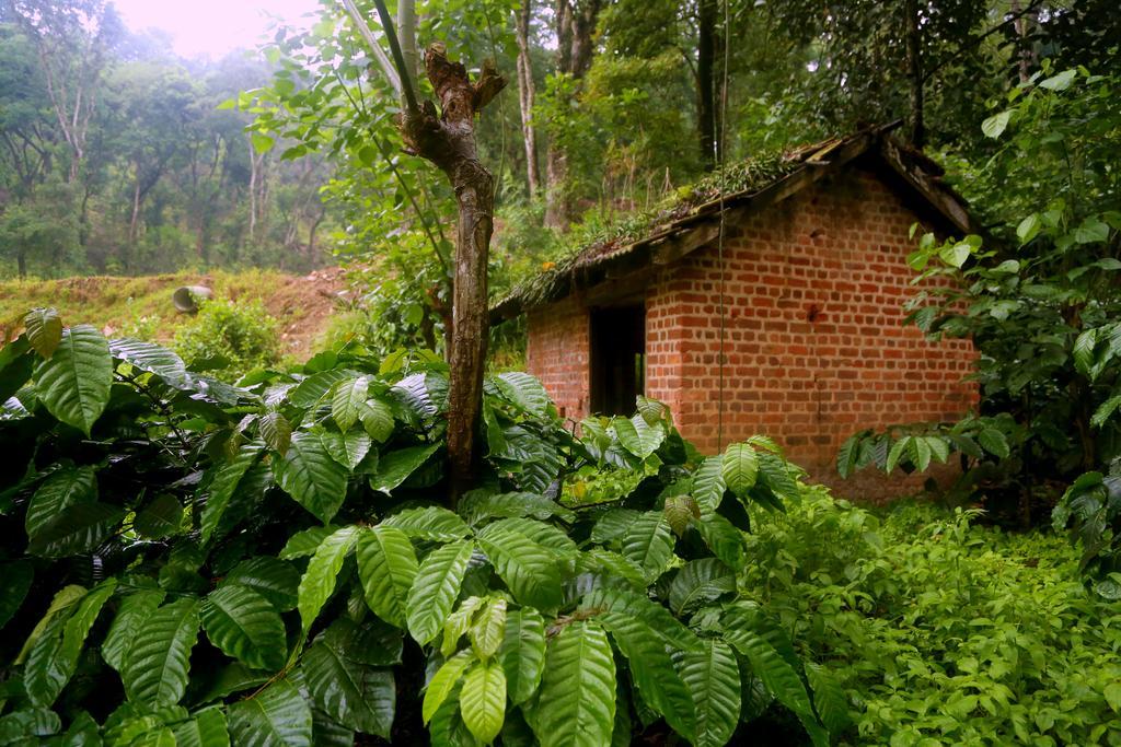 Old Kent Estates & Spa, Coorg Suntikoppa 外观 照片